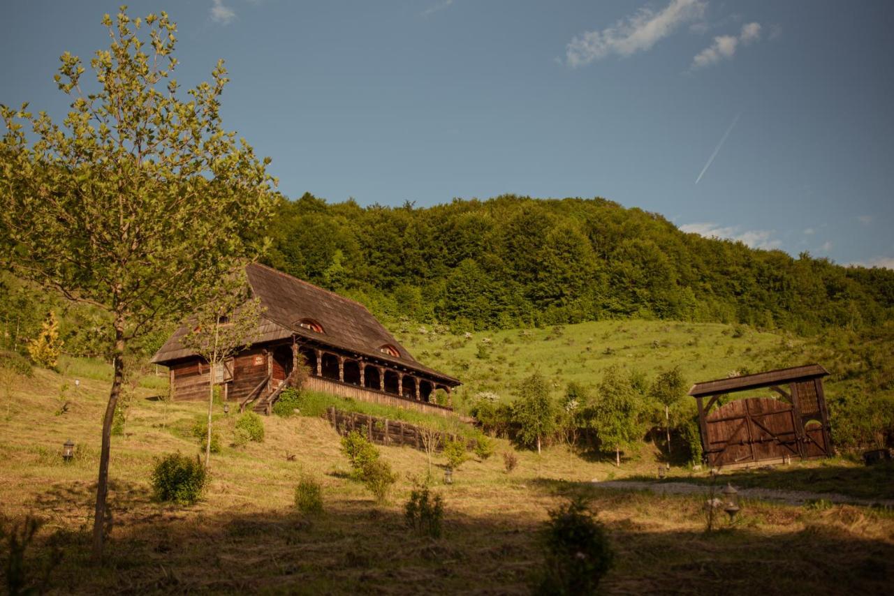Raven'S Nest - The Hidden Village, Transylvania - Romania Sub Piatra Luaran gambar