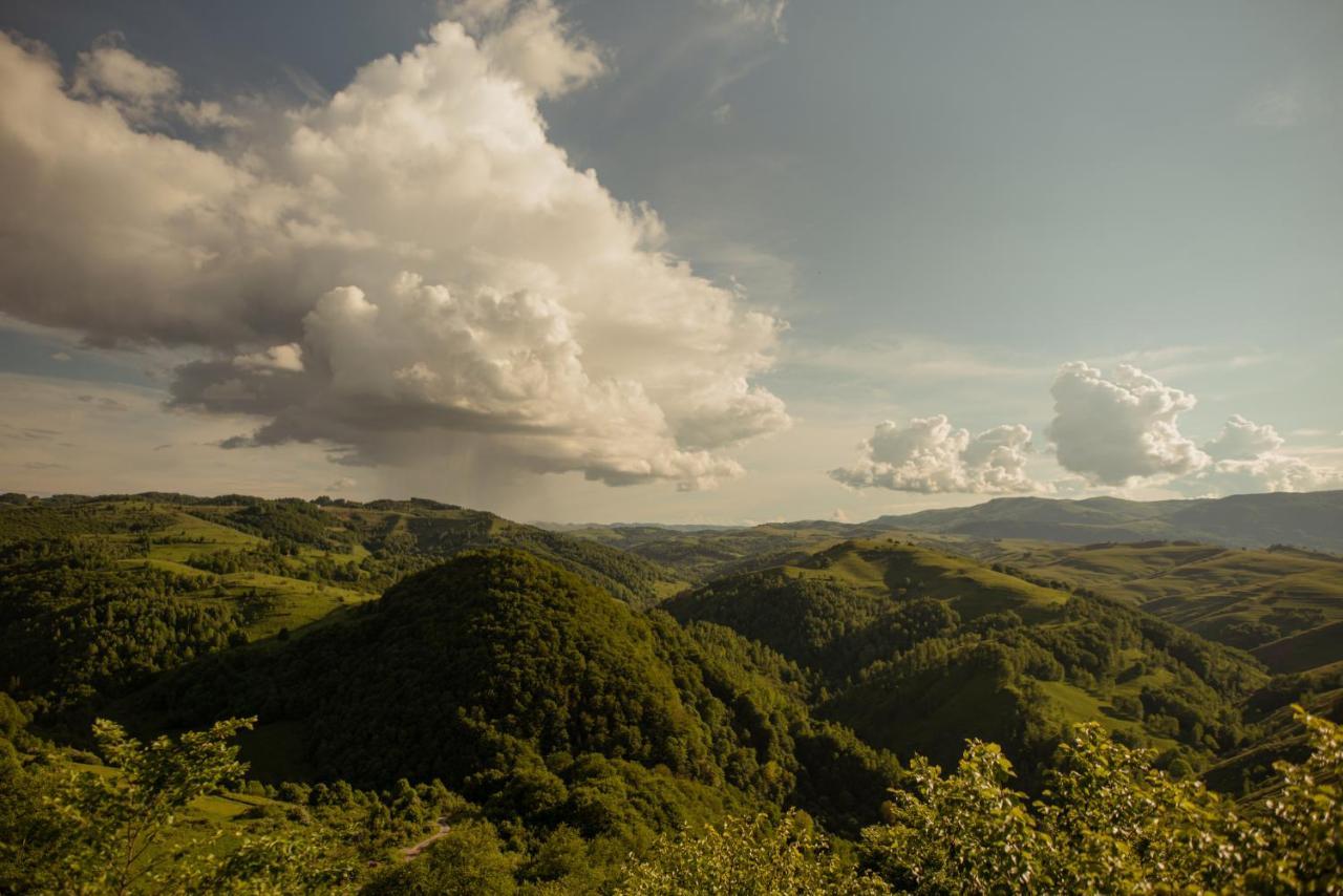 Raven'S Nest - The Hidden Village, Transylvania - Romania Sub Piatra Luaran gambar
