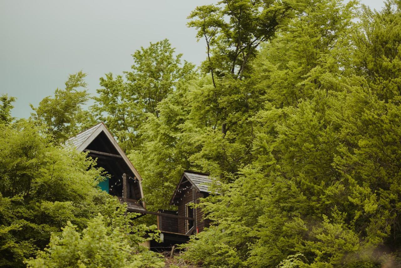Raven'S Nest - The Hidden Village, Transylvania - Romania Sub Piatra Luaran gambar